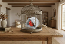 Load image into Gallery viewer, Plush Bird Bed