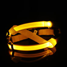 Cargar imagen en el visor de la galería, LED Dog Harness for Nighttime Visibility
