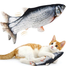 Load image into Gallery viewer, Interactive Fish Cat Toy