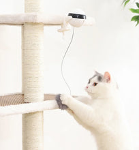 Load image into Gallery viewer, Cat Teaser Interactive Toy
