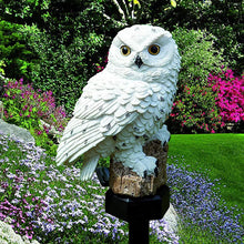 Cargar imagen en el visor de la galería, Led Solar Power Outdoor Garden Owl
