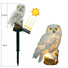 Load image into Gallery viewer, Led Solar Owl  Pathway  Light
