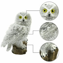 Load image into Gallery viewer, Led Solar Owl  Pathway  Light
