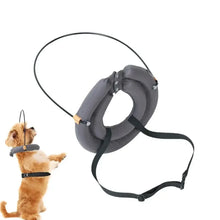 Load image into Gallery viewer, Dog Harness Bump Guard For The Visually Impaired
