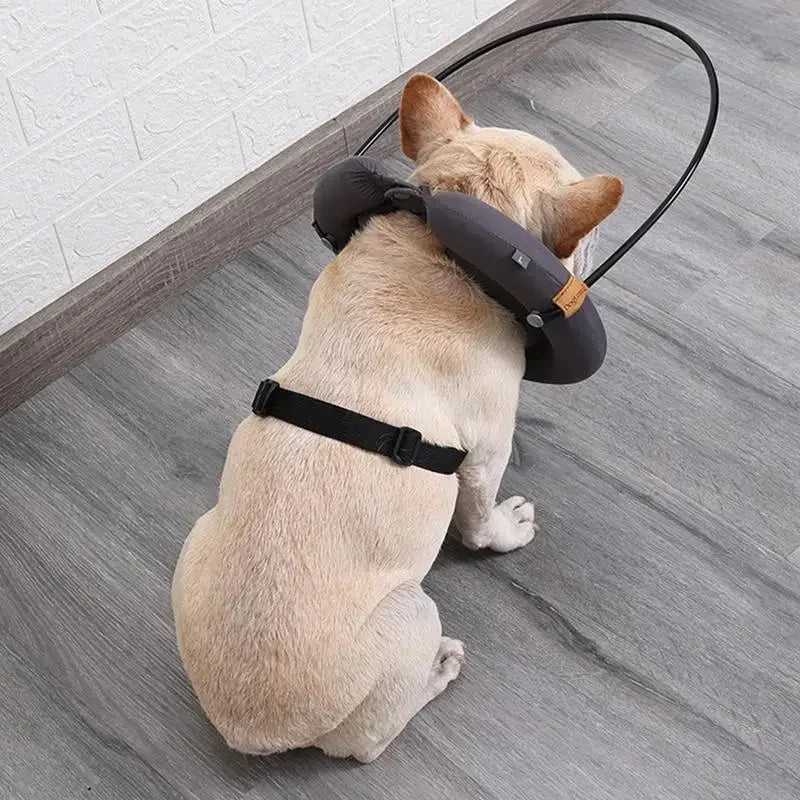 Dog Harness Bump Guard For The Visually Impaired