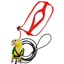 Load image into Gallery viewer, Bird Harness Leash with Adjustable Band
