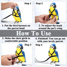 Load image into Gallery viewer, Bird Harness Leash with Adjustable Band
