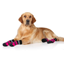 Load image into Gallery viewer, 2 Pair of Lightweight Dog Booties
