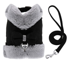 Load image into Gallery viewer, Stylish Dog Fur Harness and Leash
