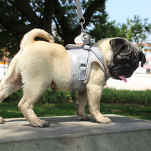Load image into Gallery viewer, Reflective Pet Harness and Leash
